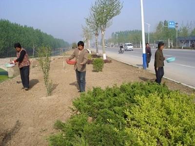 梁山经济开发区园区道路绿化项目