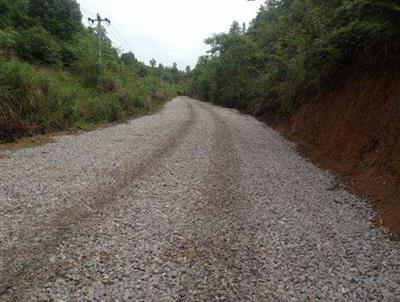 枣庄国有林场部通硬化路建设项目