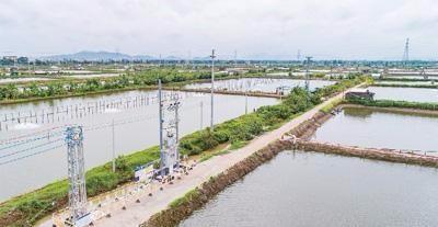 佛山市乐平镇范湖水产生态养殖示范基地道路硬底化工程