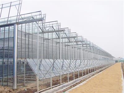 兖州第一书记高效节能日光温室建设项目