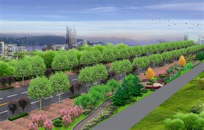 佛山市三水大道绿化工程