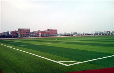 鱼台县谷亭街道运动场地人造草坪足球场项目