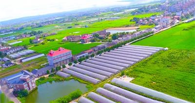 邹城峄山农业科技示范园建设运营项目